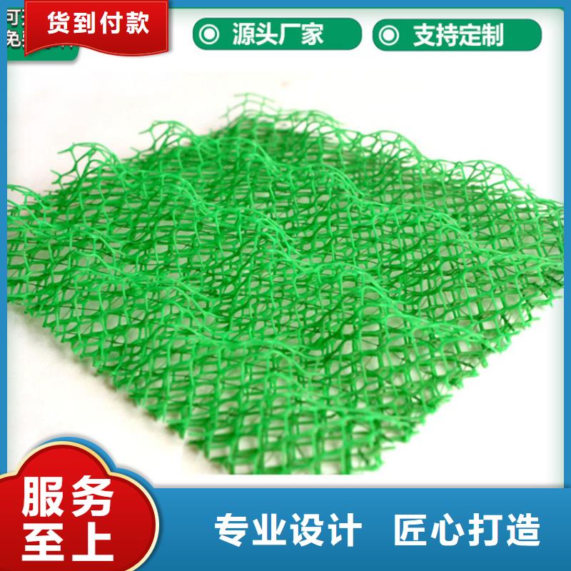 三维固土网垫EM2三维植被网