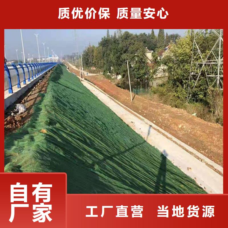 三维植被网土工布库存量大