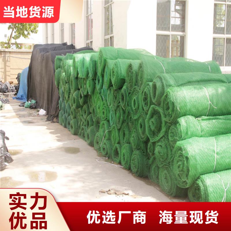 三维植被网土工布库存量大