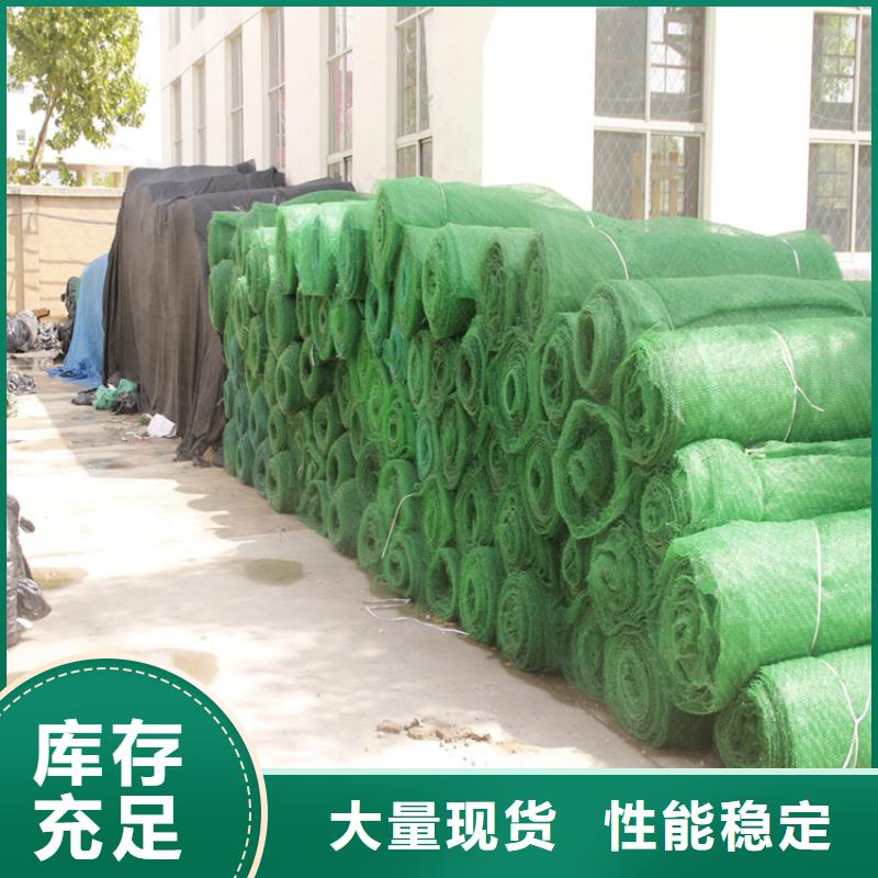 EM5草皮三维土工网垫