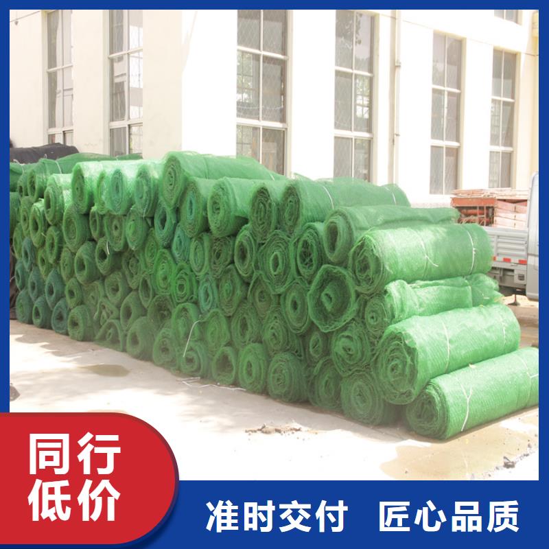 三维植被网土工布库存量大