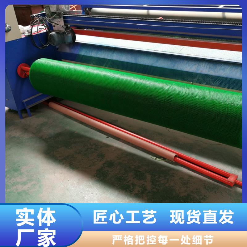 三维植被网土工布库存量大