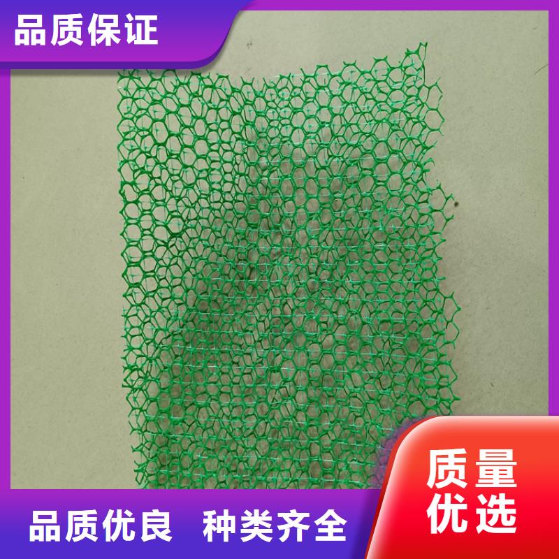 EM5草皮三维土工网垫