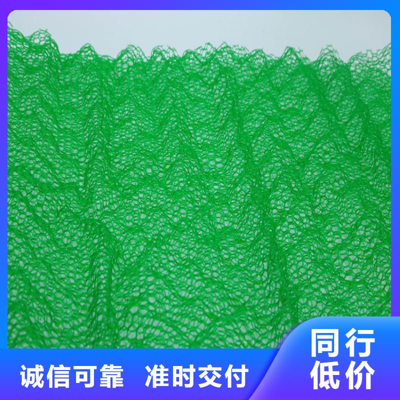 EM5草皮三维土工网垫