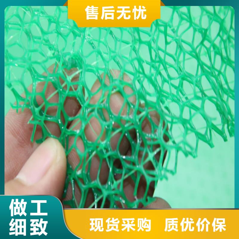 三维植被网土工布库存量大