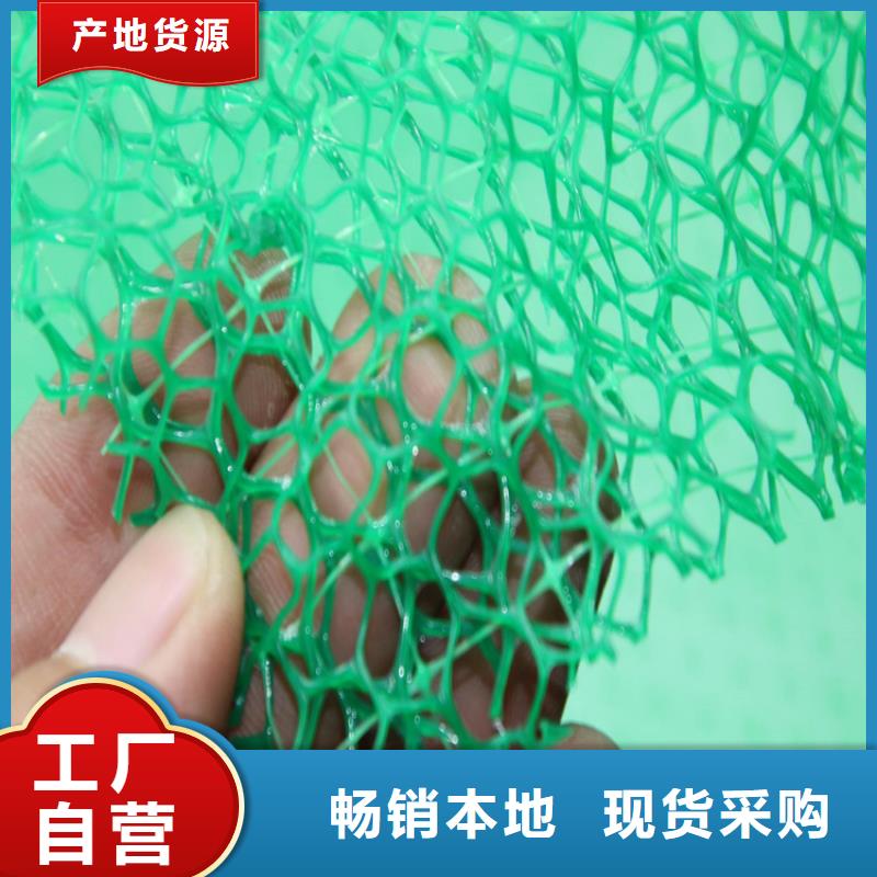 EM5草皮三维土工网垫