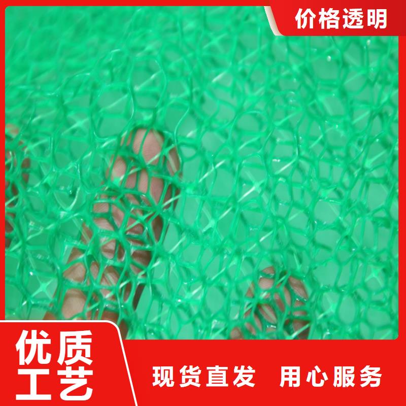 EM5草皮三维土工网垫