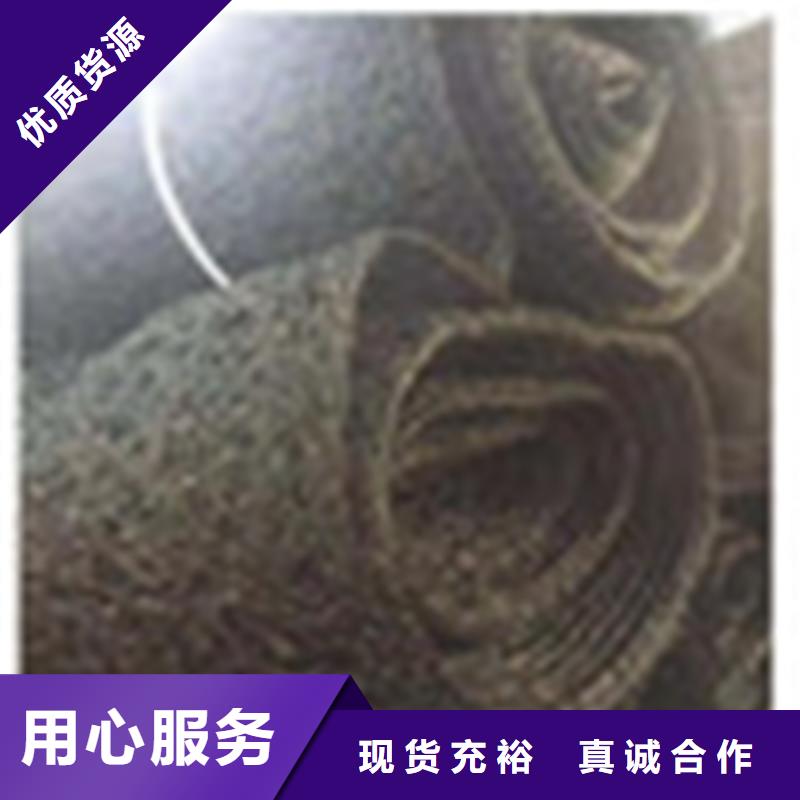 通风降噪丝网土工格栅信誉有保证