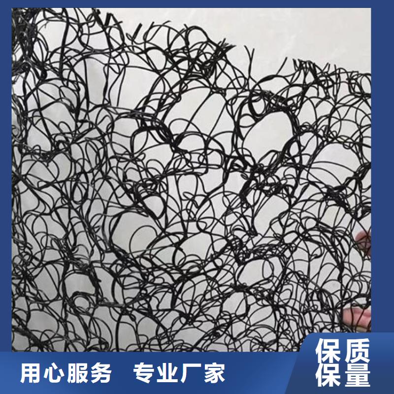 通风降噪丝网土工格栅信誉有保证