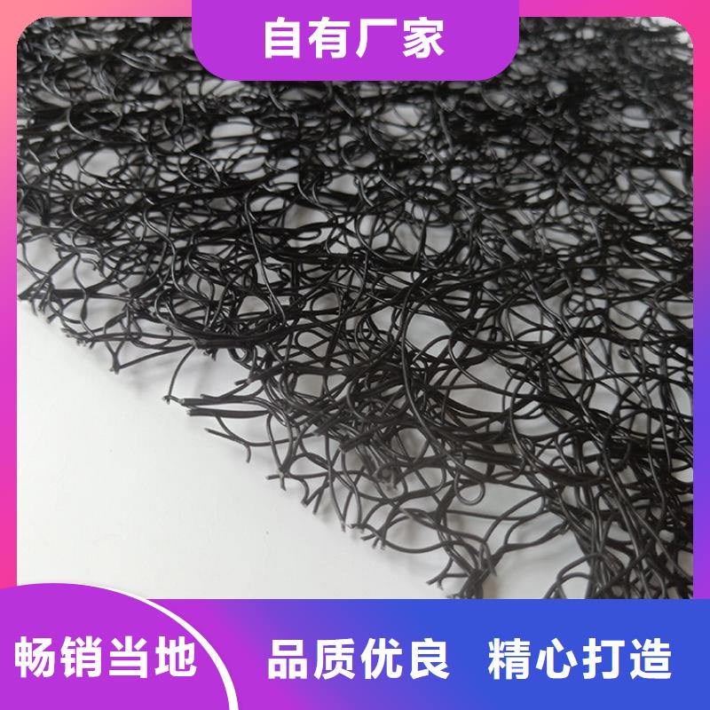 通风降噪丝网土工格栅您身边的厂家