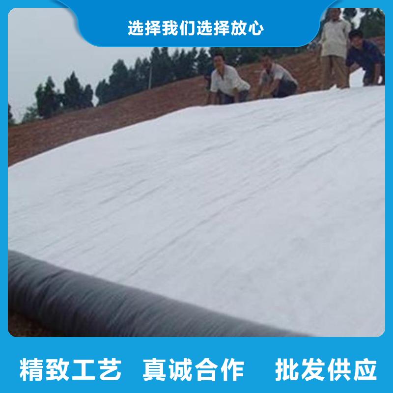 【膨润土防水毯】土工膜敢与同行比价格