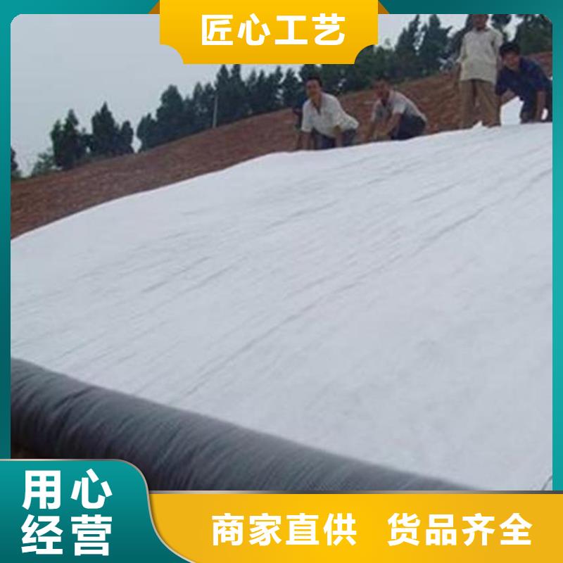【膨润土防水毯】土工膜敢与同行比价格