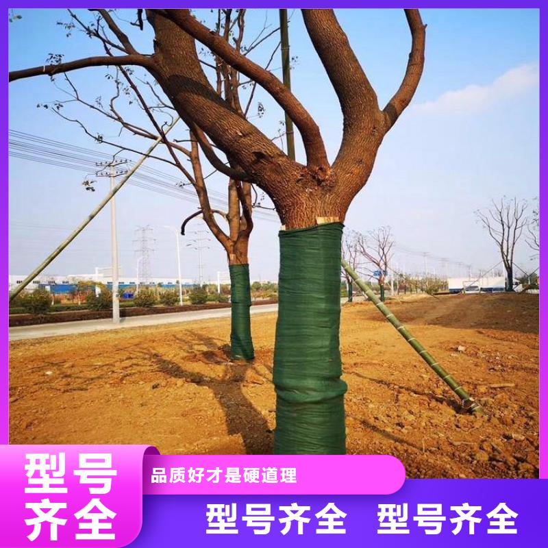 裹树布硬式透水管源头采购