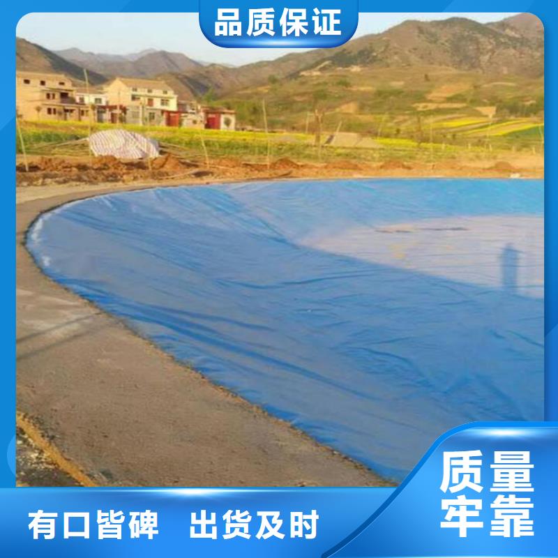 0.51.0厚防渗土工膜