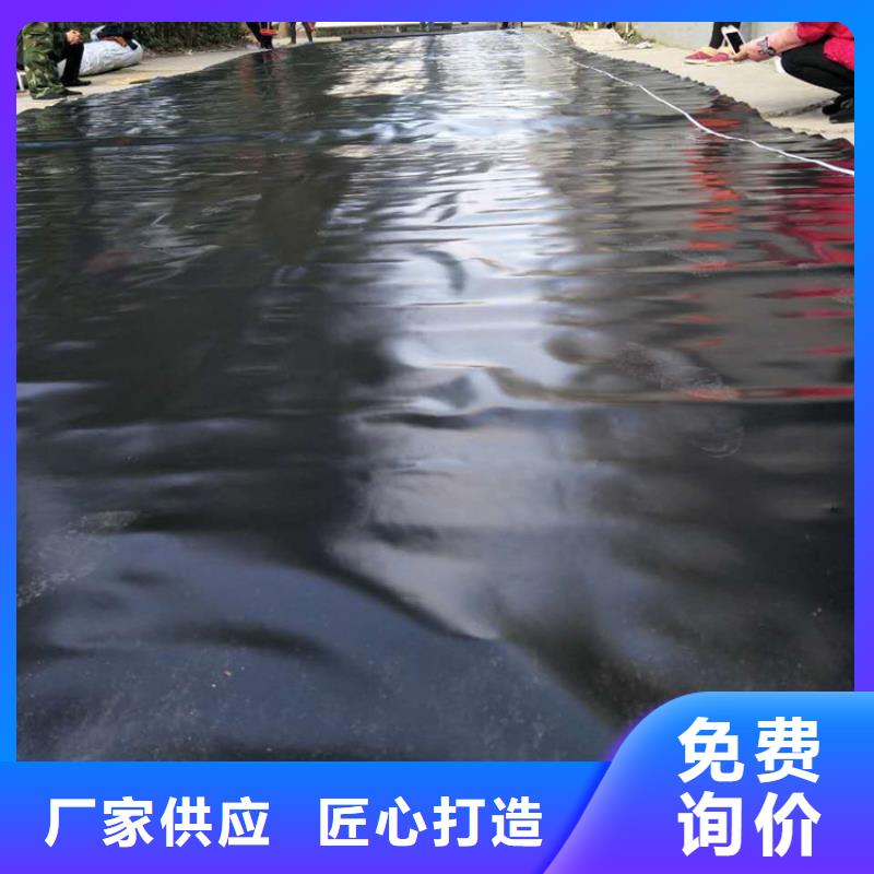 土工膜,防渗膜厂家定制
