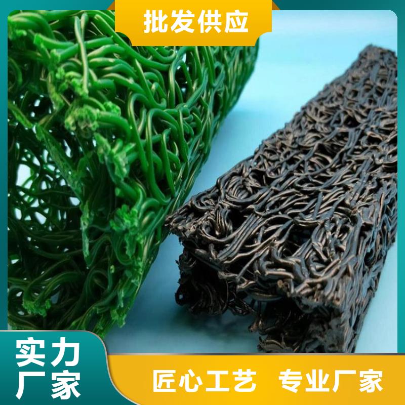 塑料盲沟_土工膜专业生产制造厂