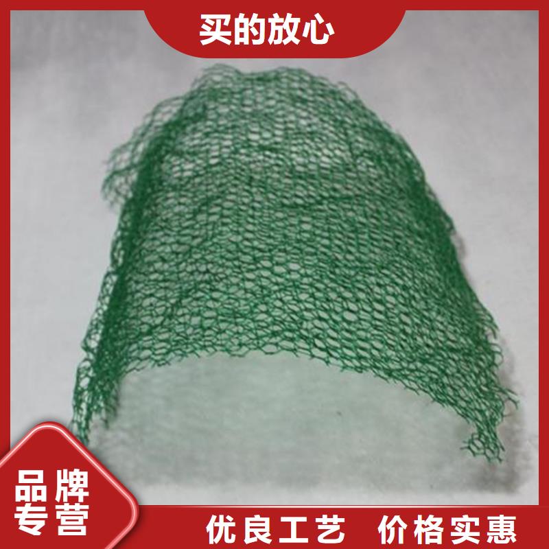 三维植草护坡网垫-三维护坡网垫产品动态-已更新