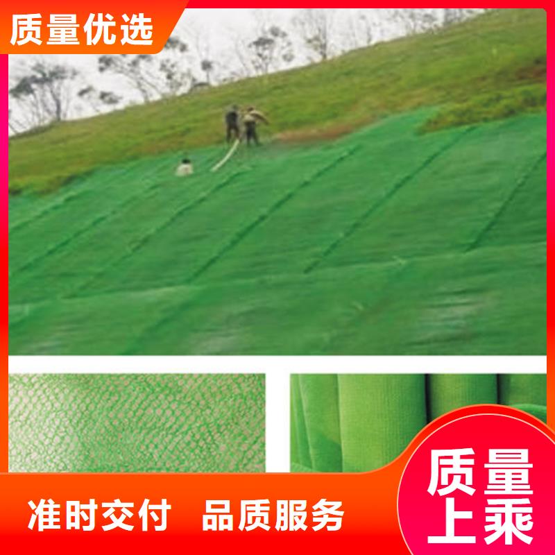 三维植草护坡网垫-三维护坡网垫产品动态-已更新