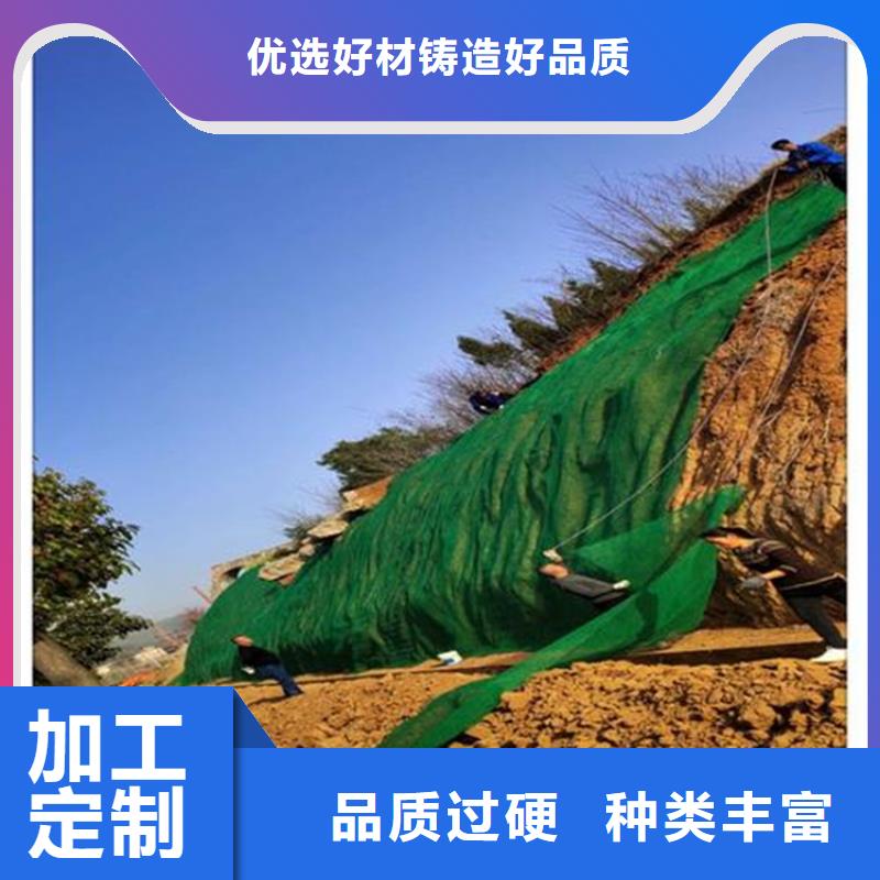 三维植草护坡网垫-三维护坡网垫产品动态-已更新