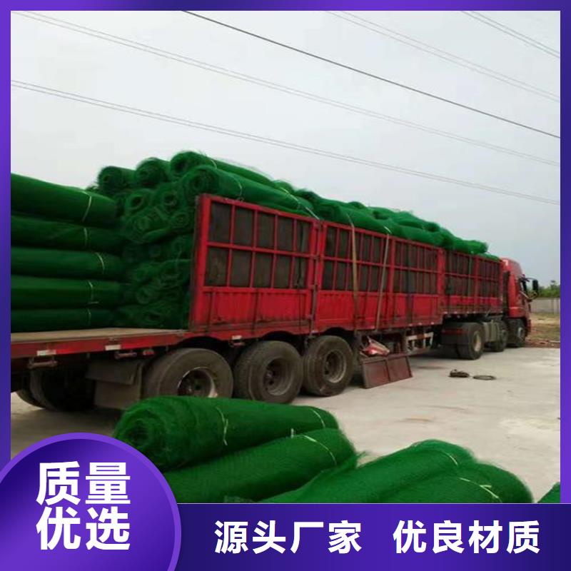 三维植草护坡网垫-三维护坡网垫产品动态-已更新