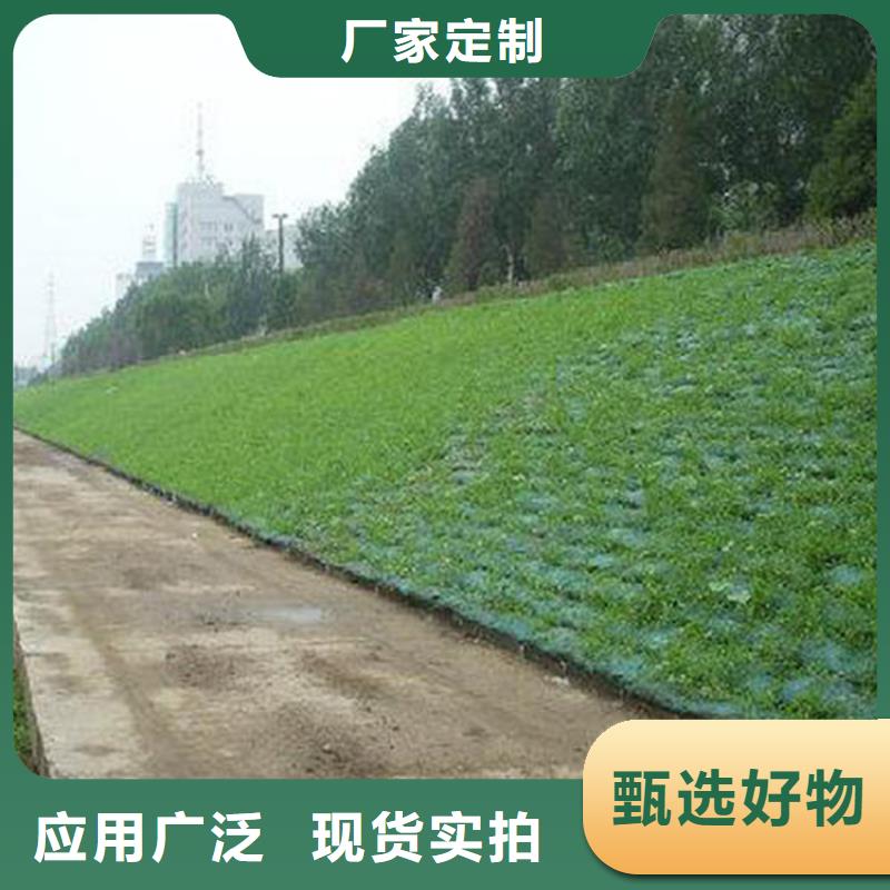 三维植草护坡网垫-三维护坡网垫产品动态-已更新