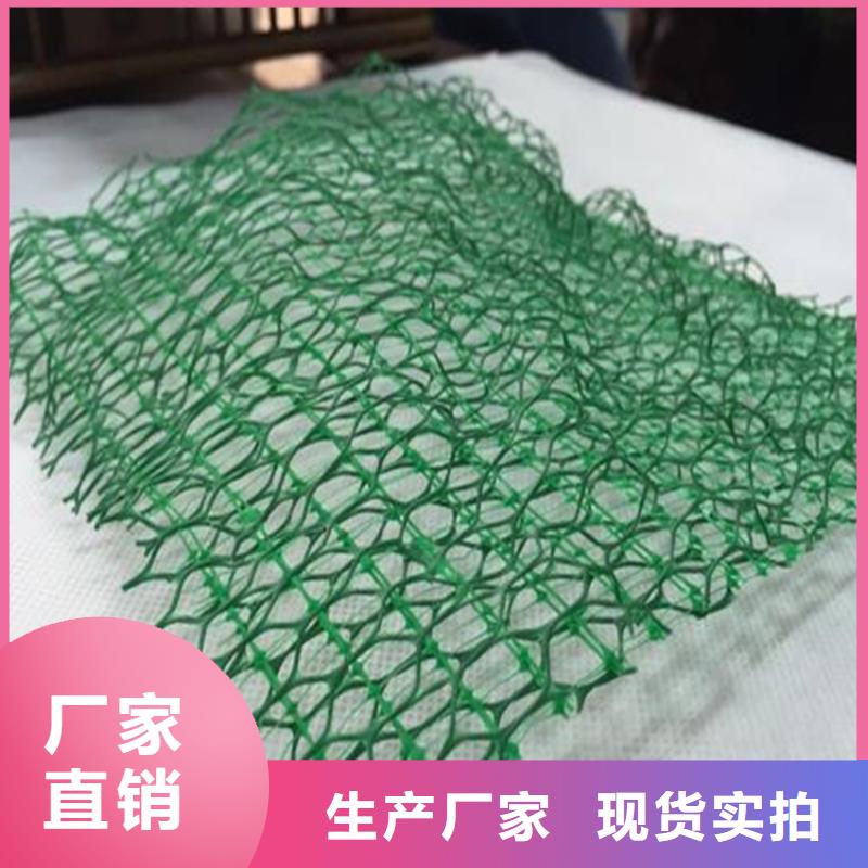 三维植草护坡网垫-三维护坡网垫产品动态-已更新