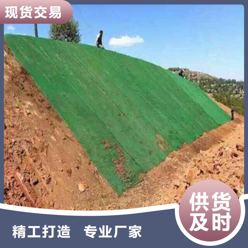 三维植草护坡网垫-三维护坡网垫产品动态-已更新