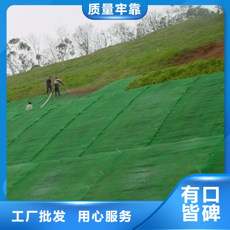 三维植草护坡网垫-三维护坡网垫产品动态-已更新