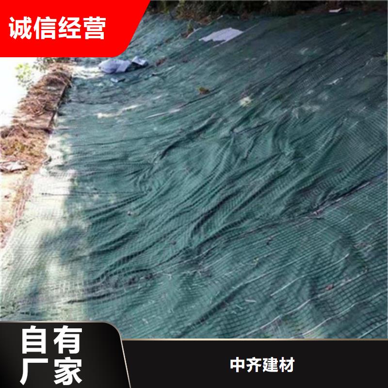 加筋抗冲生物毯-抗冲椰垫
