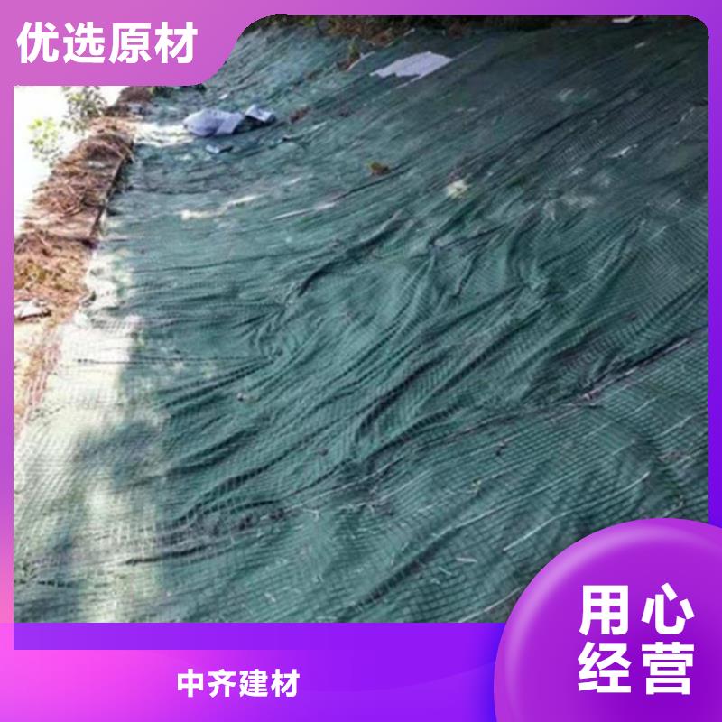 植生椰丝毯-护坡植被植草毯批发零售