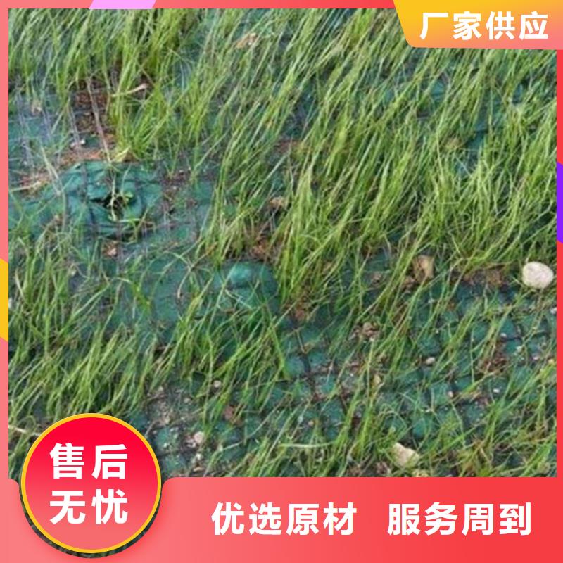 椰丝毯15年经验