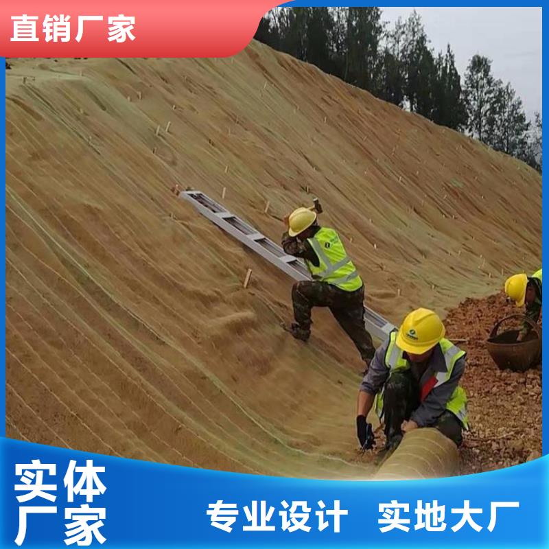 植生椰丝毯-护坡植被植草毯批发零售