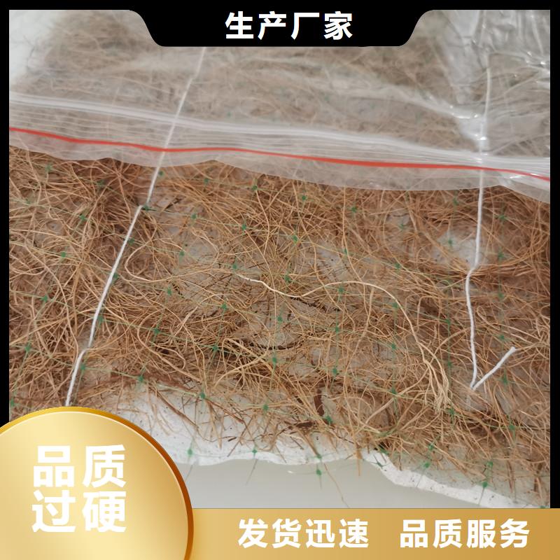 植生椰丝毯-加筋抗冲生物毯