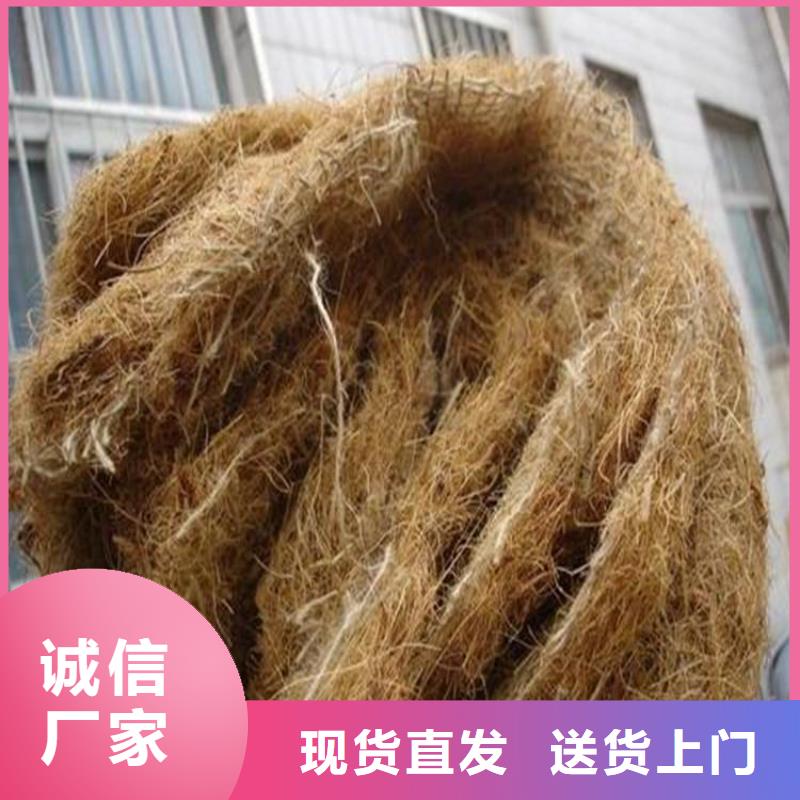 植物纤维毯-生态环保草毯