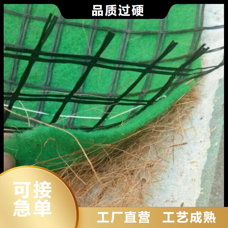 植生椰丝毯-加筋抗冲生物毯