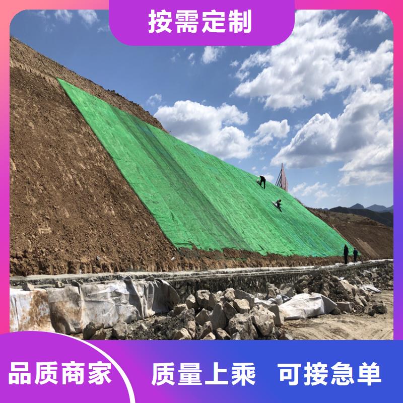 椰丝毯15年经验