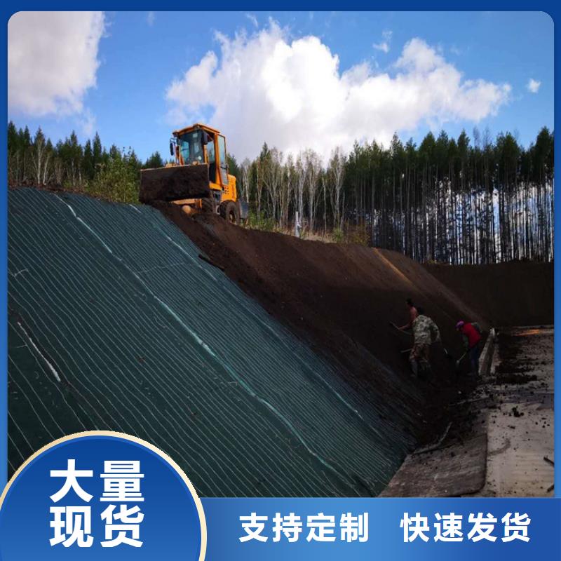 椰丝毯15年经验