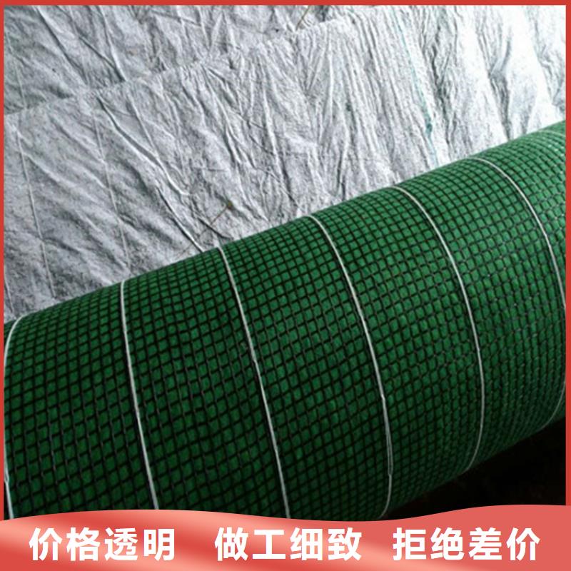 加筋抗冲生物毯-抗冲椰垫