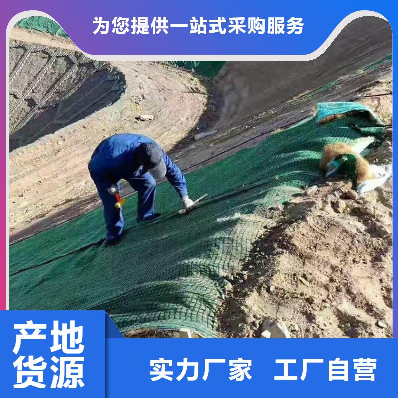 植物纤维毯-生态环保草毯