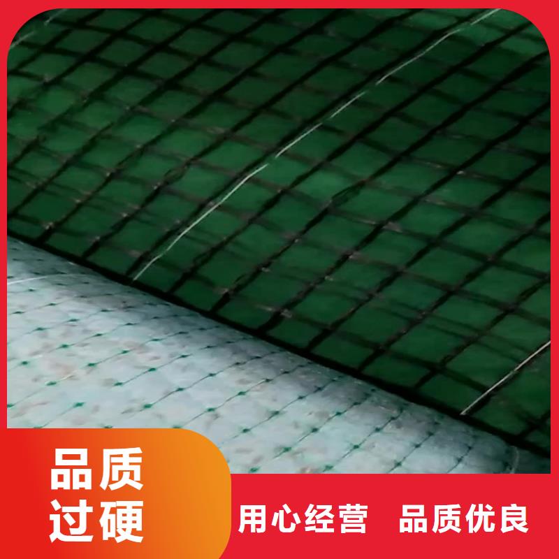 加筋抗冲生物毯-抗冲椰垫