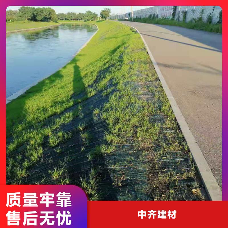 椰丝毯土工膜一站式供应