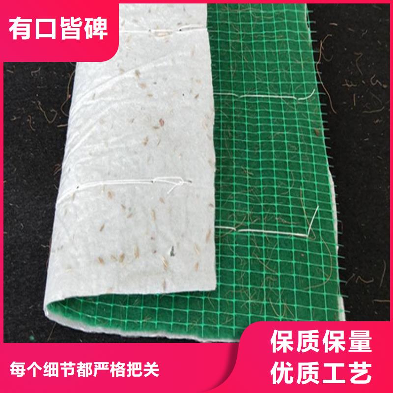 植生椰丝毯-加筋抗冲生物毯