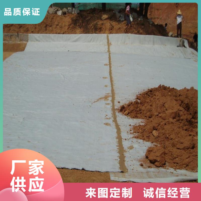 膨润土防水毯,通风降噪丝网厂家采购
