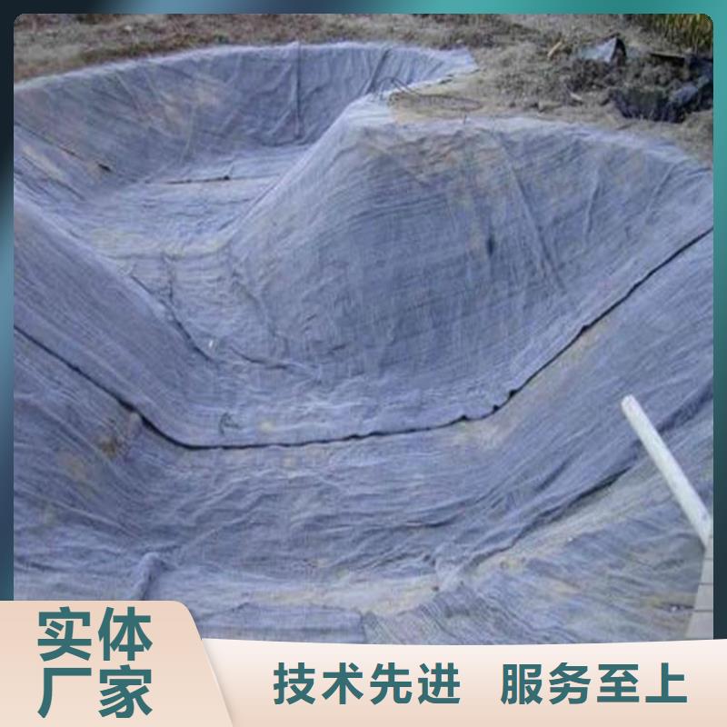 膨润土防水毯,通风降噪丝网厂家采购