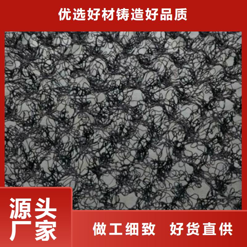 水土保护毯HDPE土工膜应用广泛