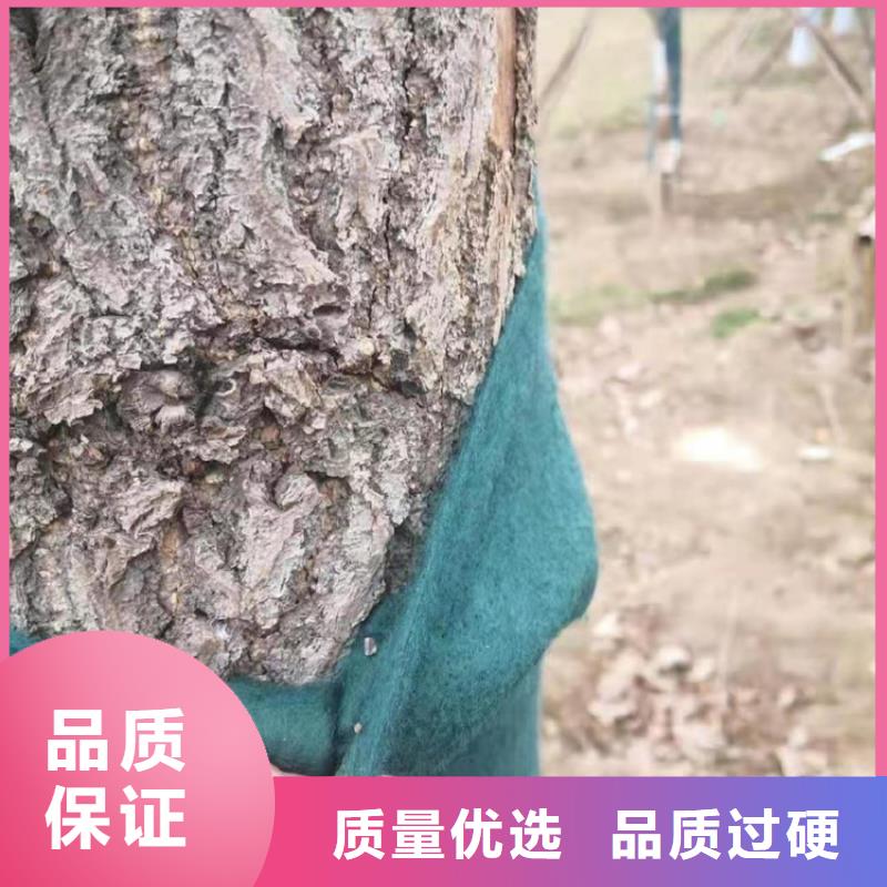 裹树布软式透水管常年供应