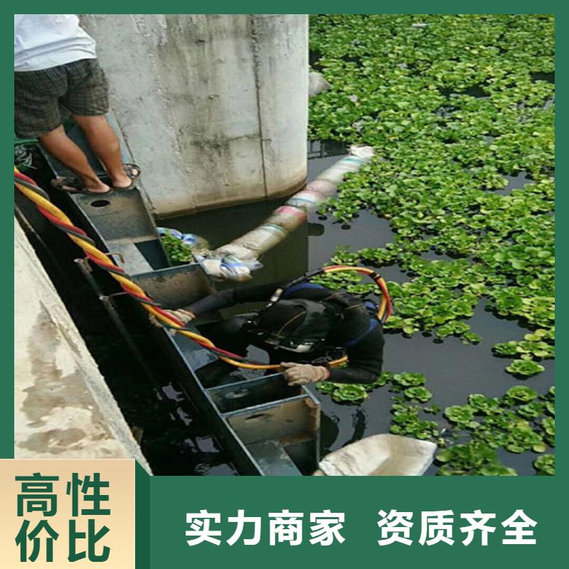 水下水下录像欢迎询价