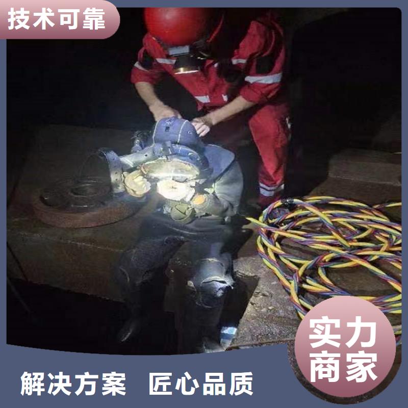 水下-水下录像技术成熟