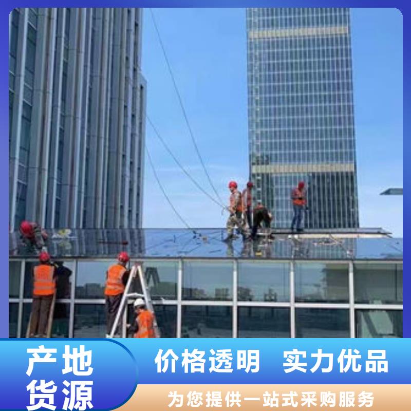 山东德州1T电动玻璃吸盘产品介绍
