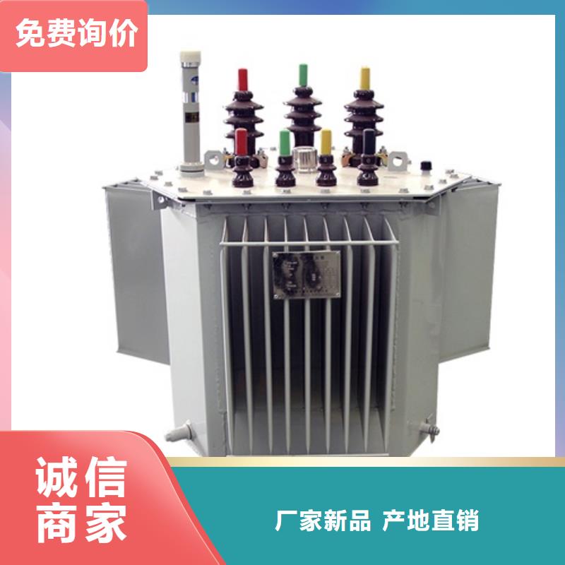 S11-1000KVA/10KV/0.4KV油浸式变压器施工队伍